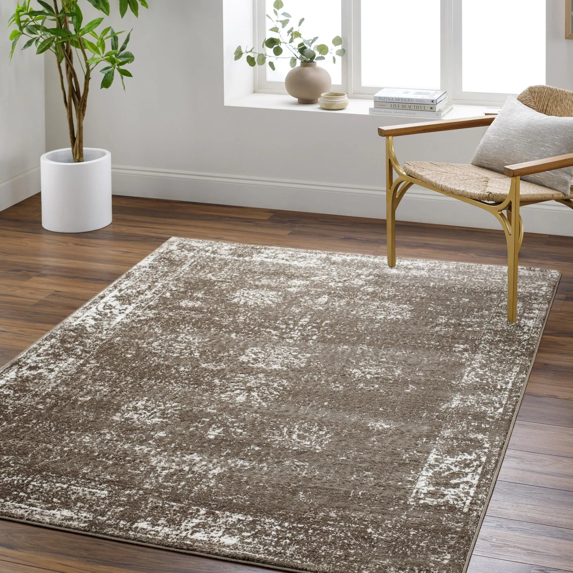 Valadez Vintage Area Rug
