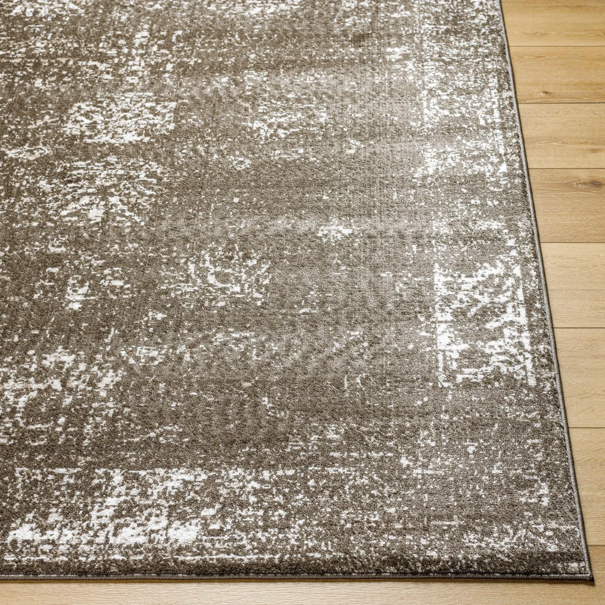 Valadez Vintage Area Rug