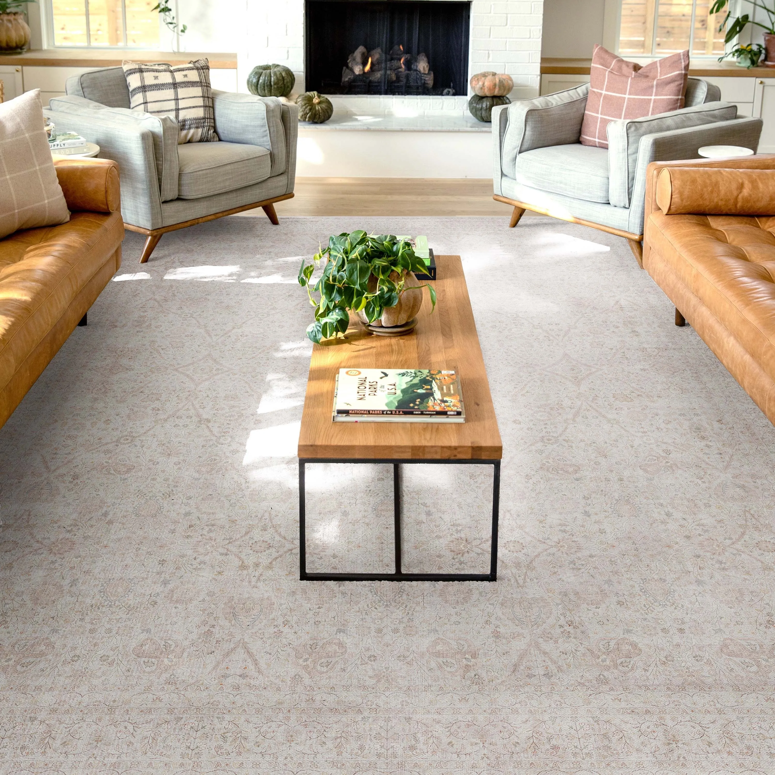 Well Woven Asha Isolde Vintage Oriental Flat-Weave Area Rug