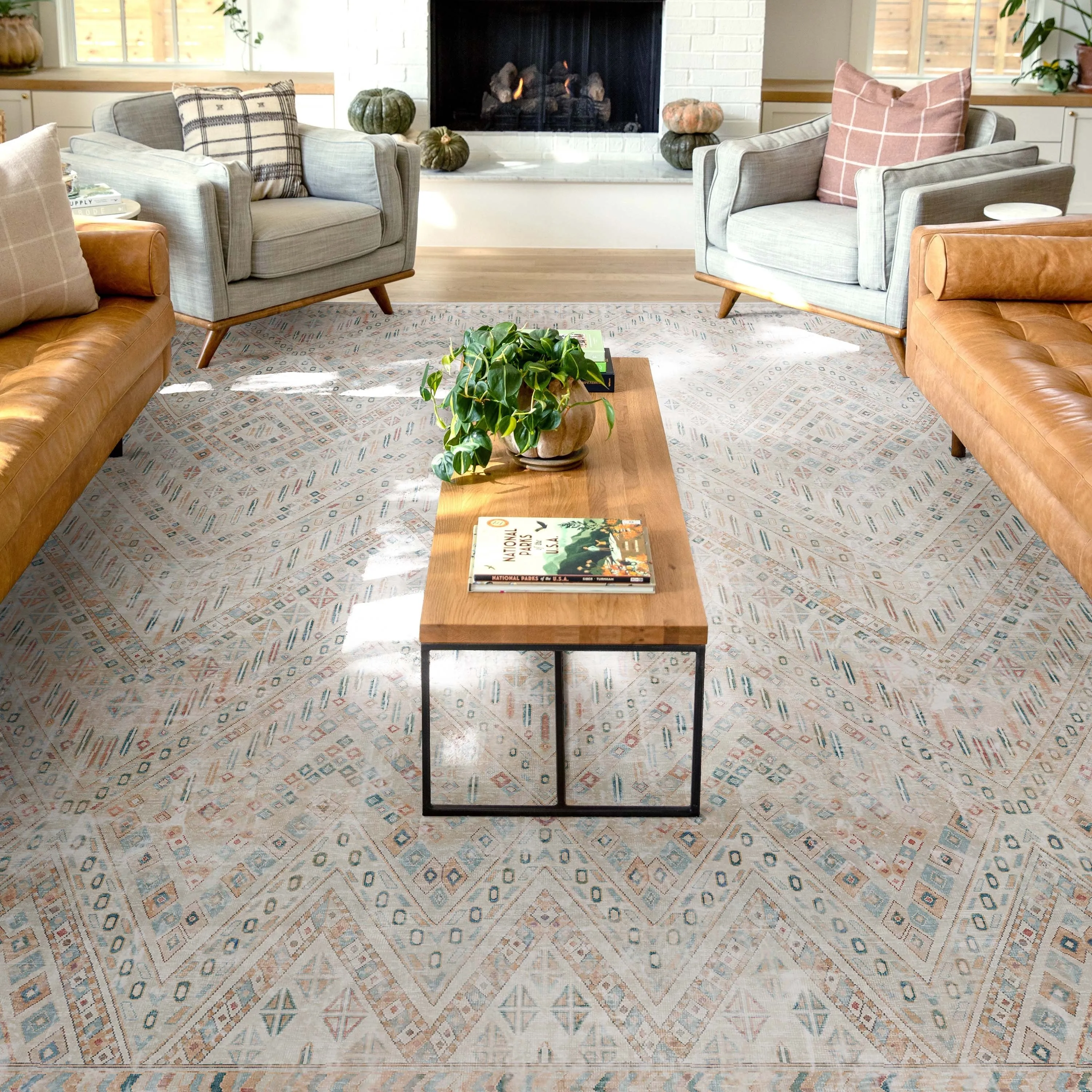 Well Woven Asha Vintage Anya Machine Washable Area Rug