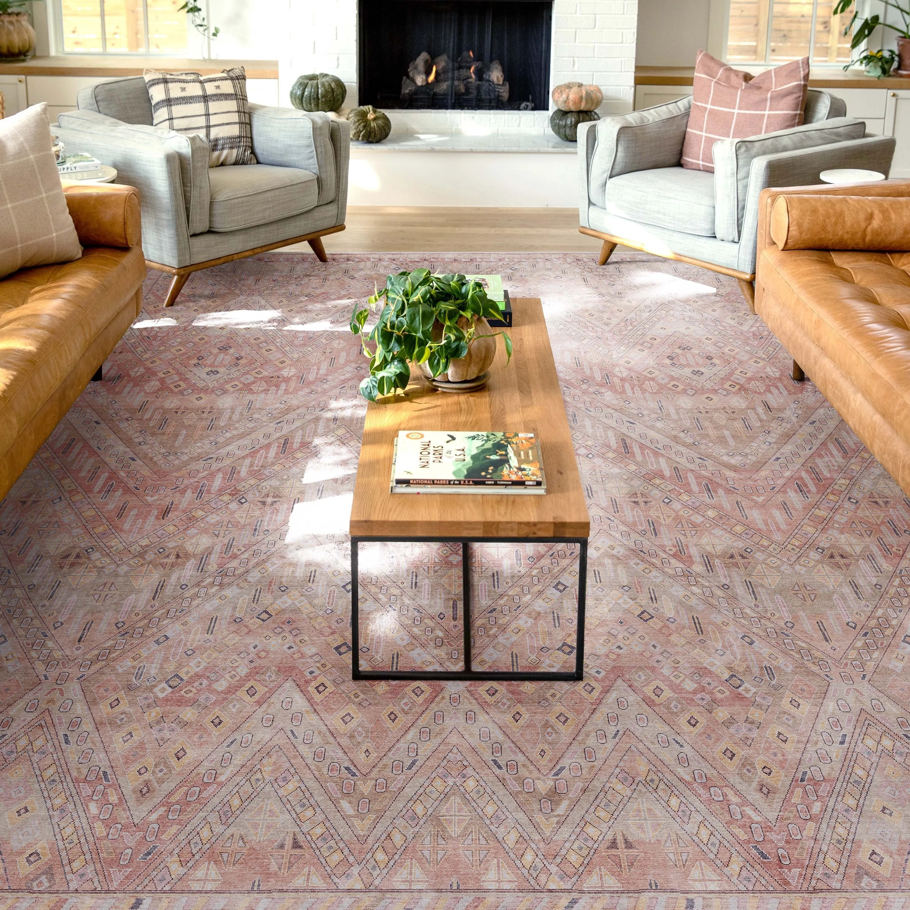 Well Woven Asha Vintage Anya Machine Washable Area Rug