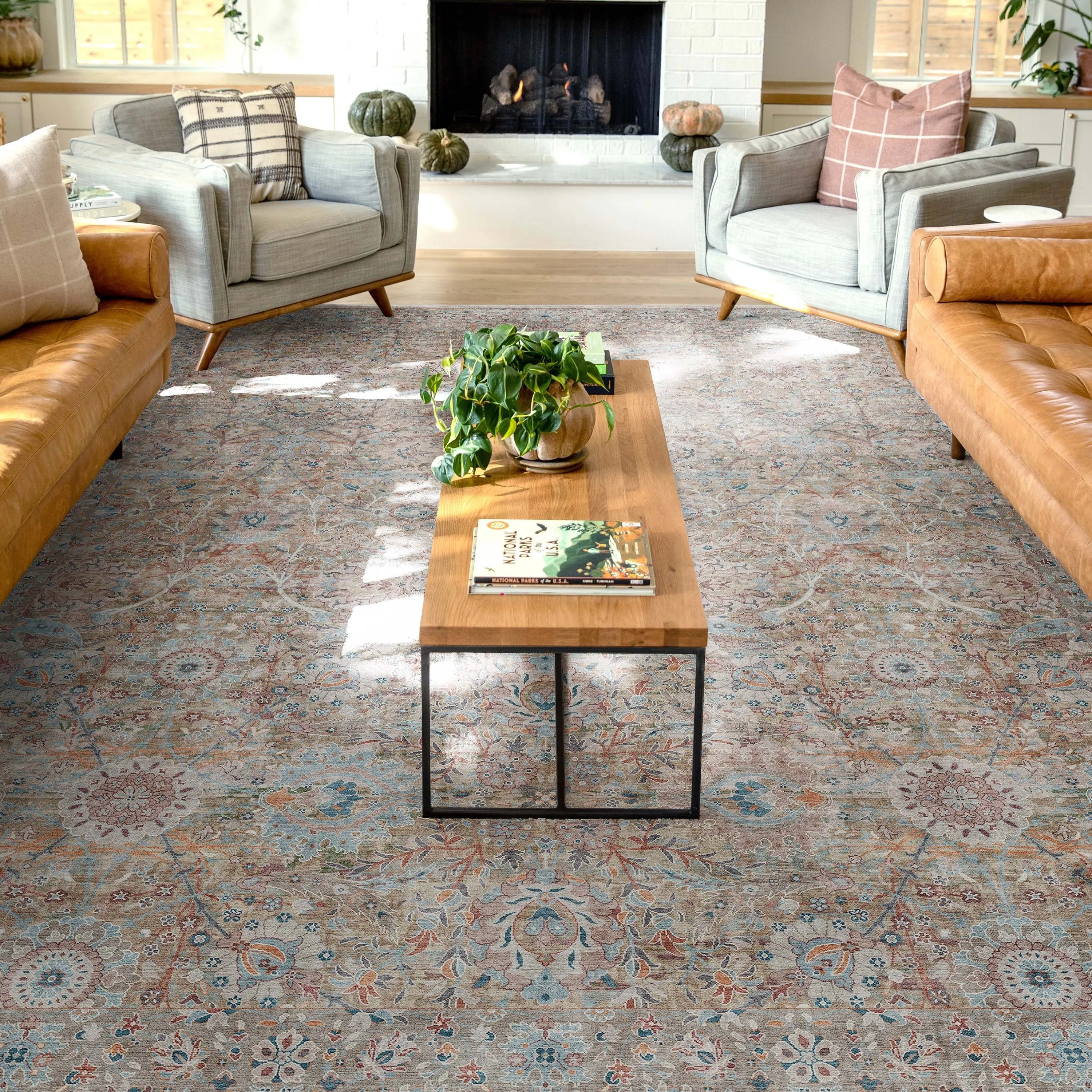 Well Woven Asha Vintage Emilia Flat-Weave Area Rug
